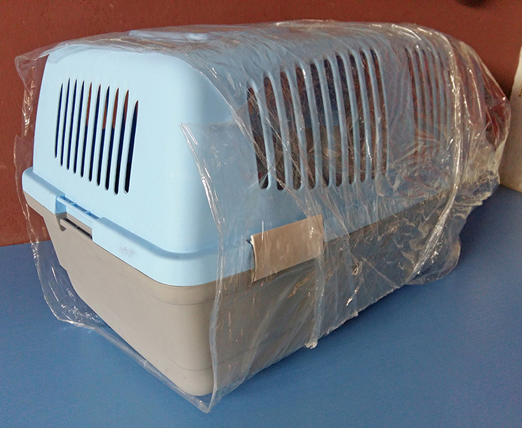 Plastic pet carrier for sale
